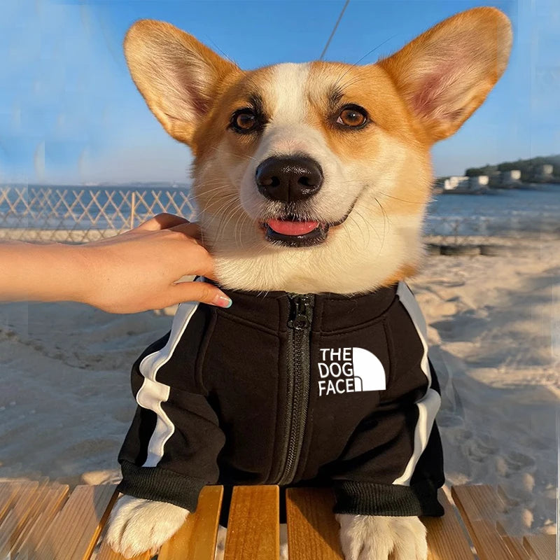Autumn and winter new pet clothes dog zipper hoodie Big dog coat small and medium-sized dog out clothing cat clothes