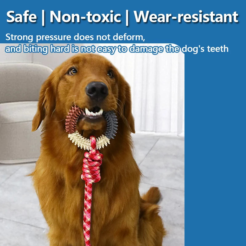 1PC Supet Interactive Training Pet Toy Ring Spiked Ring Dog Teeth Cleaning Pet Supplies Dog Teeth Grinding Durable toys