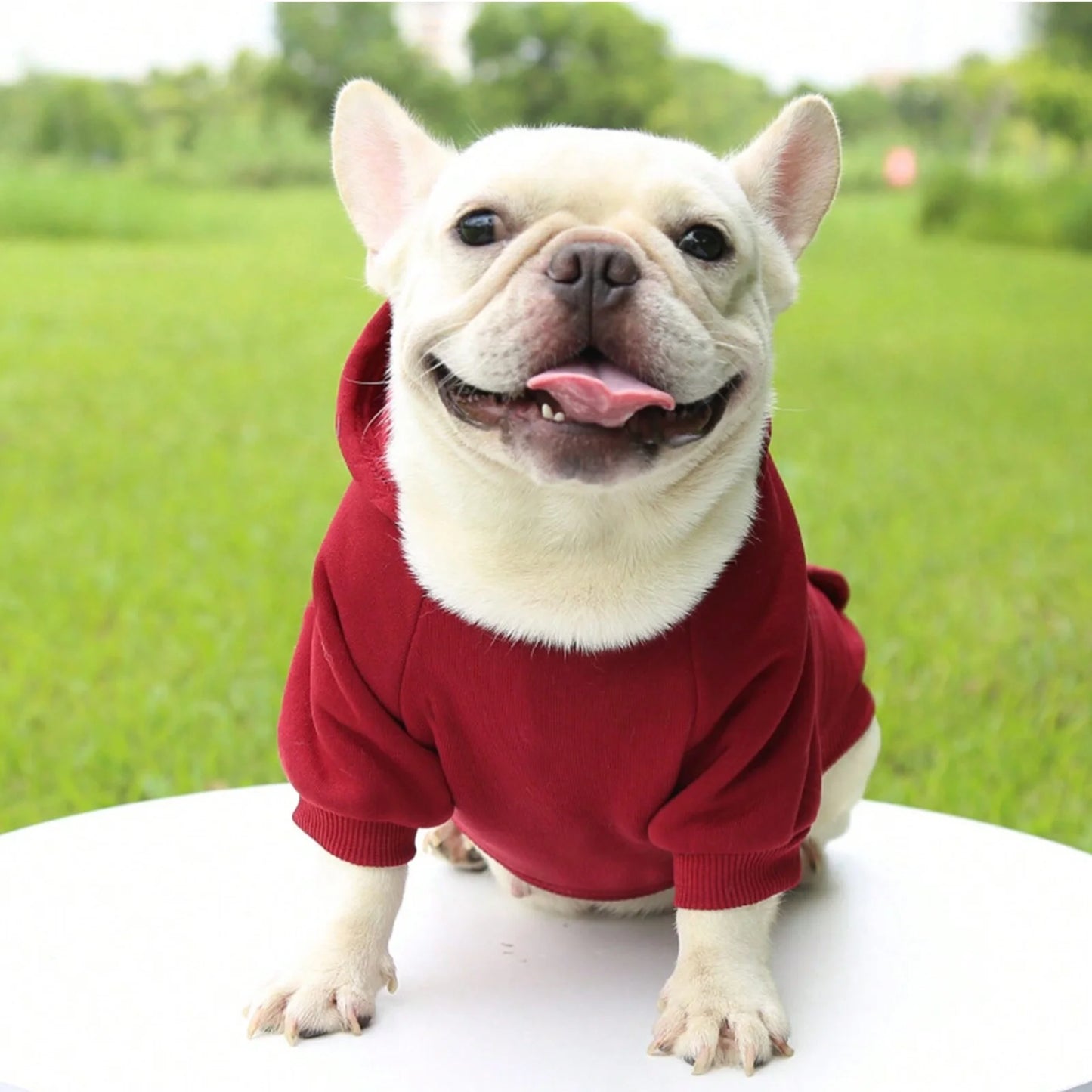🐾 Cozy Paws™ Premium Pet Hoodie