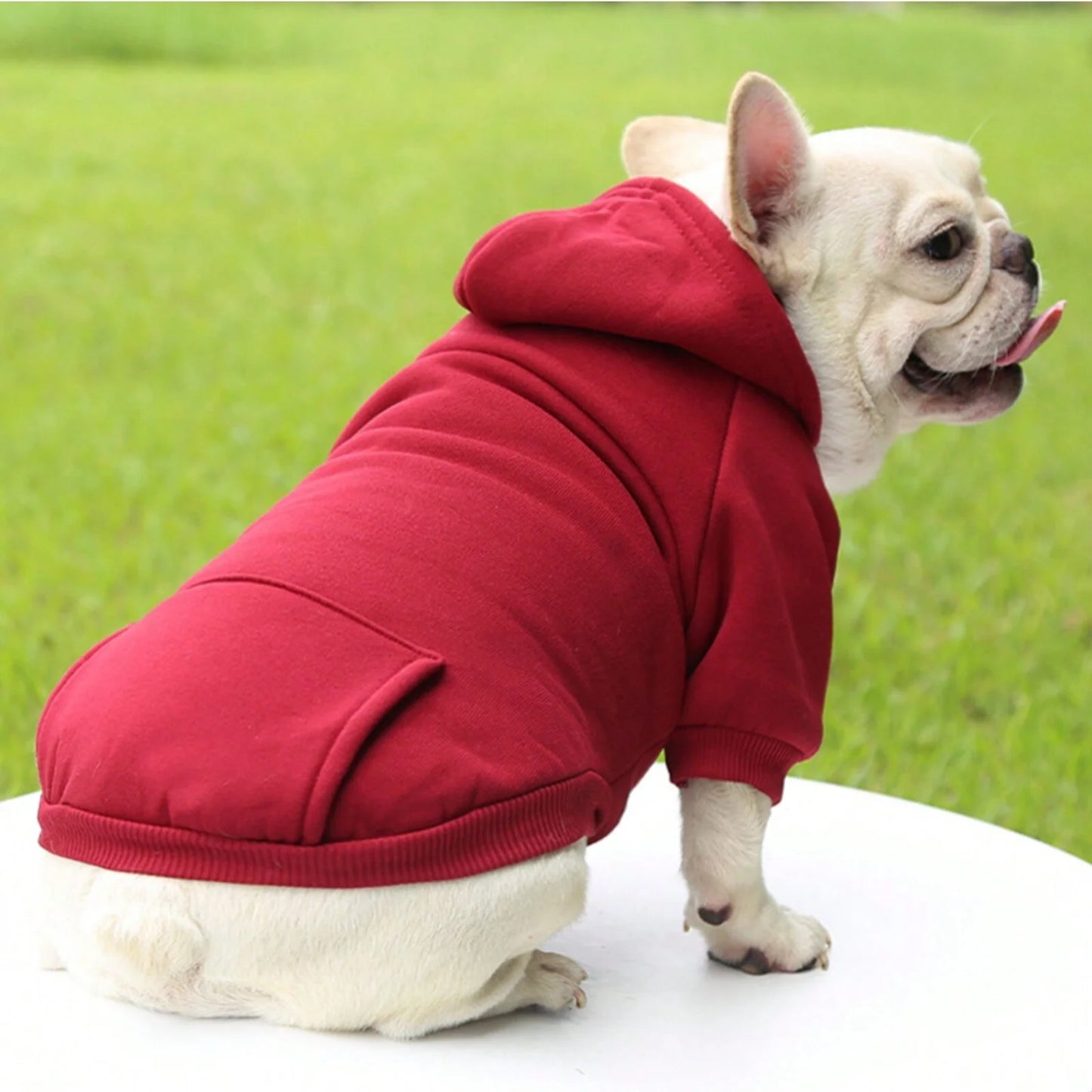🐾 Cozy Paws™ Premium Pet Hoodie