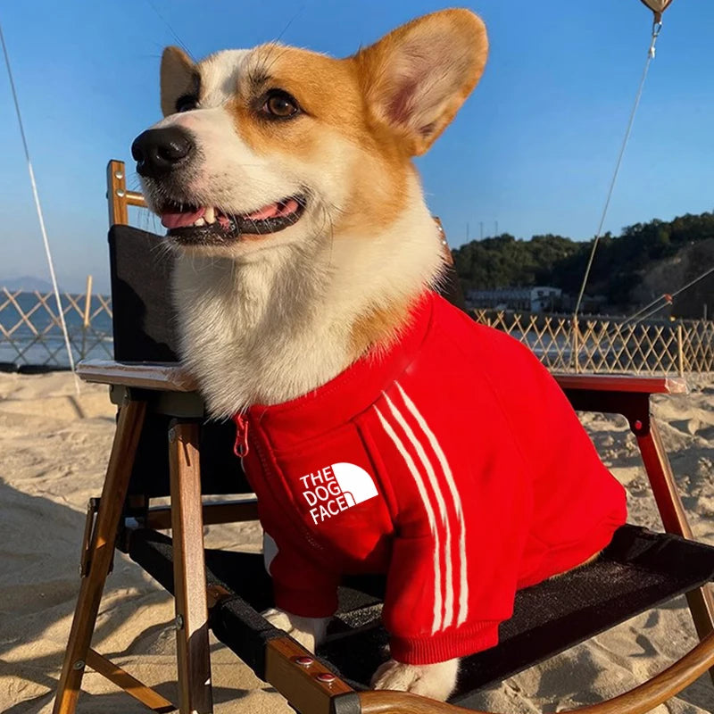 Autumn and winter new pet clothes dog zipper hoodie Big dog coat small and medium-sized dog out clothing cat clothes