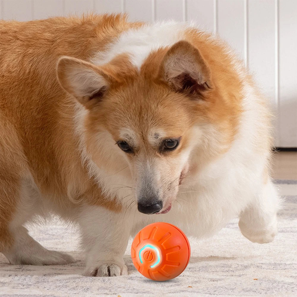 🐾 BounceBuddy™ Interactive Pet Ball Toy