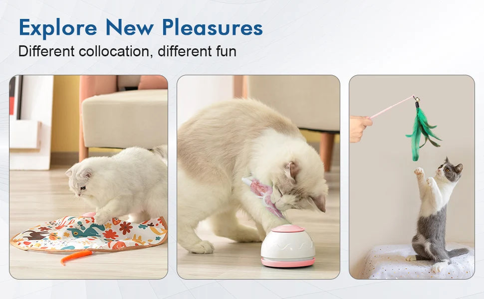 Electric Cat Toy USB Charging 360 Rotating Interactive Puzzle Intelligent Pet Items Cat Teasing Feather Cat Supplies Accessories
