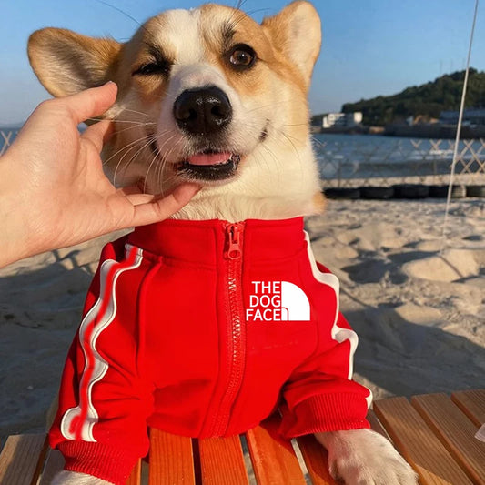 Autumn and winter new pet clothes dog zipper hoodie Big dog coat small and medium-sized dog out clothing cat clothes