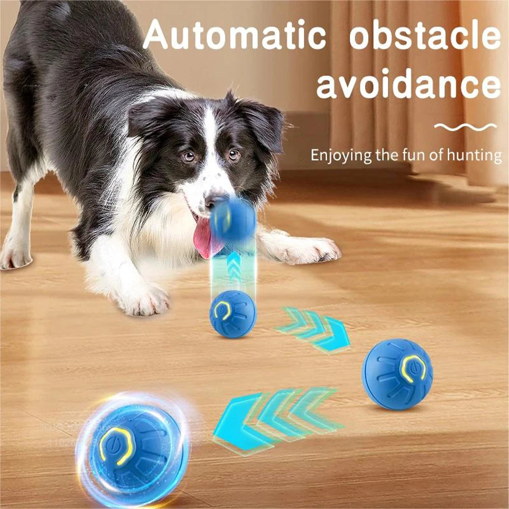 🐾 BounceBuddy™ Interactive Pet Ball Toy